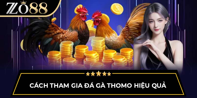 Cách tham gia đá gà Thomo hiệu quả