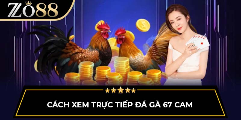 Cách xem trực tiếp đá gà 67 Cam