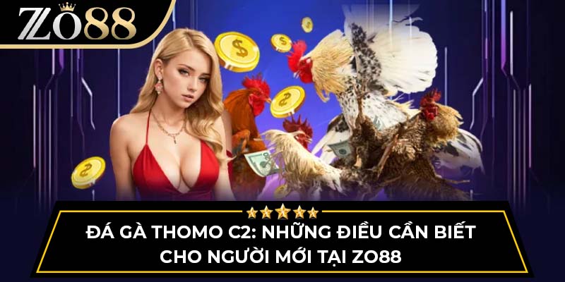 Đá Gà Thomo C2: Những Điều Cần Biết Cho Người Mới Tại Zo88