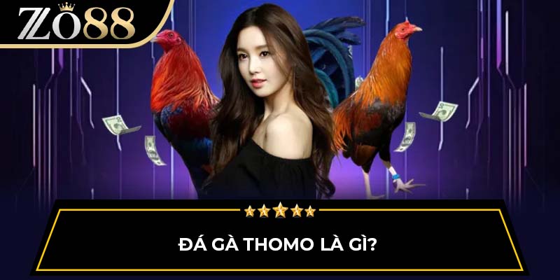 Đá gà Thomo là gì?