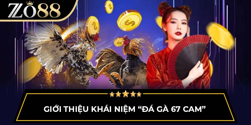 Giới thiệu khái niệm “đá gà 67 Cam”