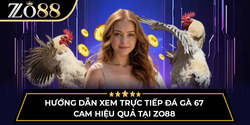 Hướng Dẫn Xem Trực Tiếp Đá Gà 67 Cam Hiệu Quả Tại Zo88