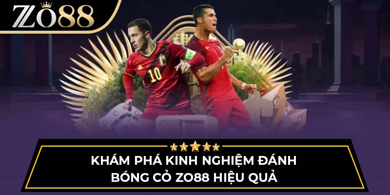 Khám phá kinh nghiệm đánh bóng cỏ ZO88 hiệu quả