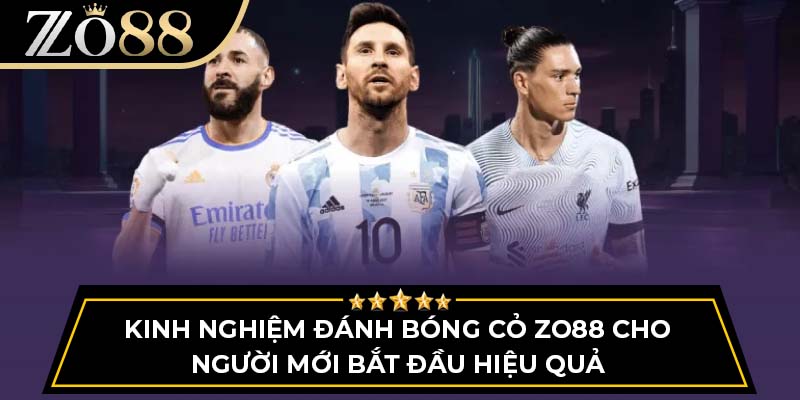 Kinh Nghiệm Đánh Bóng Cỏ Zo88 Cho Người Mới Bắt Đầu