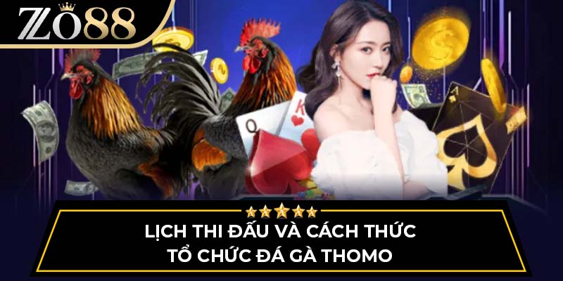 Lịch thi đấu và cách thức tổ chức đá gà Thomo